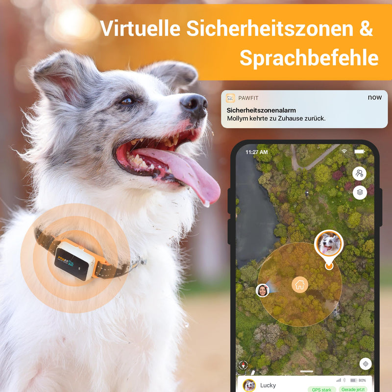 Pawfit 3 GPS tracker for dogs, 4G dog tracker, worldwide live tracking, remote voice commands, 3 intelligent alarms, activity tracking for dogs and cats over 3.5 kg, suitable for all collars - BeesActive Australia