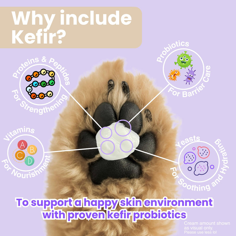NKG Kefir Paw Pad Cream - Dog & Cat Paw Soothing Cream - Natural Kefir Probiotic Based Care for Deep Moitsure and Soothing Relief - 1 Jar(50g)