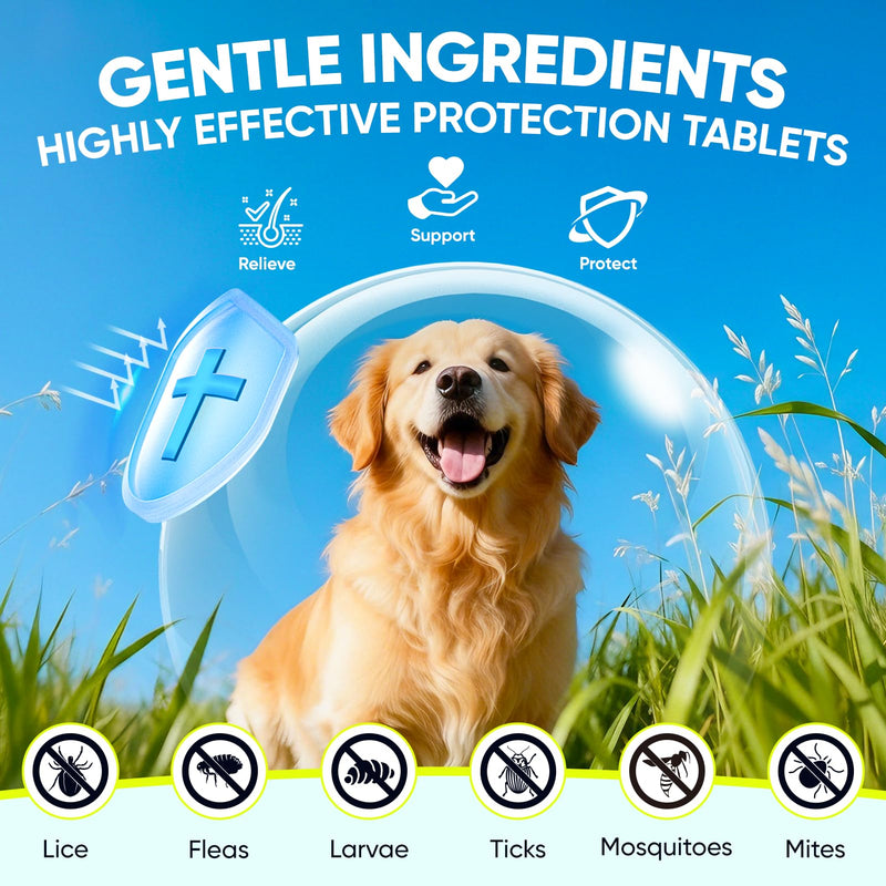 Dog Flea and Tick Treatment Chewable for 50 Count (4 Pack) Pet Control Oral Flea and Tick Chewable Supplement Fleas Ticks Prevention Treats for Puppies Soft 200 Chews All Breeds Ages Chicken Flavor