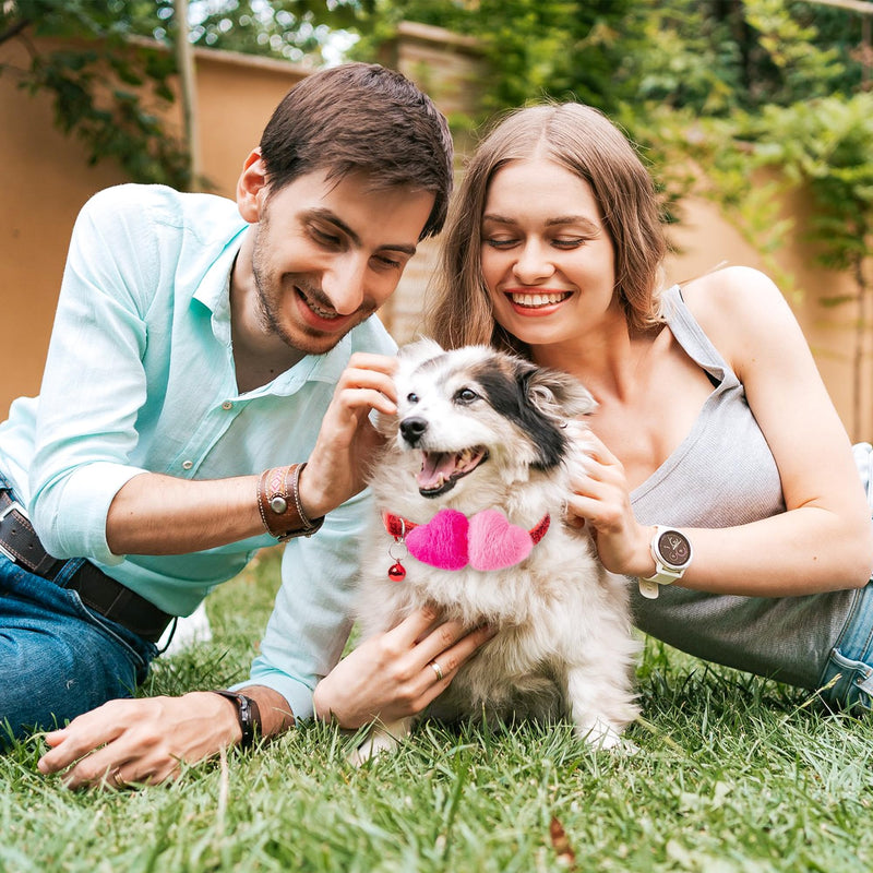MALLMALL6 Valentines Wool Felted Heart Small Dog Collar, Adjustable Soft Bling Red Quick Release Snap Buckle Puppy Collar with Bell, Rose Pink Love Theme Pet Collar for Girl Boy Dogs Cats - BeesActive Australia