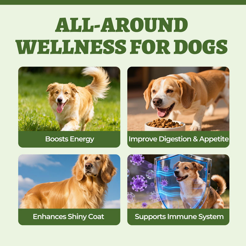 Wellix 7.02oz Super Greens Powder with Organic Spirulina, Chlorella, Spinach - Immune Support, Hip and Joint Supplement for Dogs, Chicken Flavor 100% Natural Dog Supplements Spirulina Powder