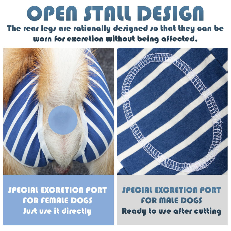 TYXHXTF 2 pieces dog bodysuit after surgery, castration, recovery suit for dogs, dog bodysuit after castration, male dog, dog bodysuit after surgery, bitch, wound protection suits for dogs, blue M - BeesActive Australia