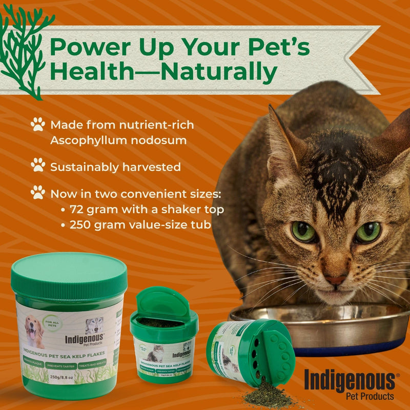Indigenous Pet Organic Sea Kelp Flakes for Cats - 2.54 Ounce | Natural Dental Care & Fresh Breath Support | Reduces Plaque & Tartar | Boosts Immune, Digestive & Thyroid Health Cat