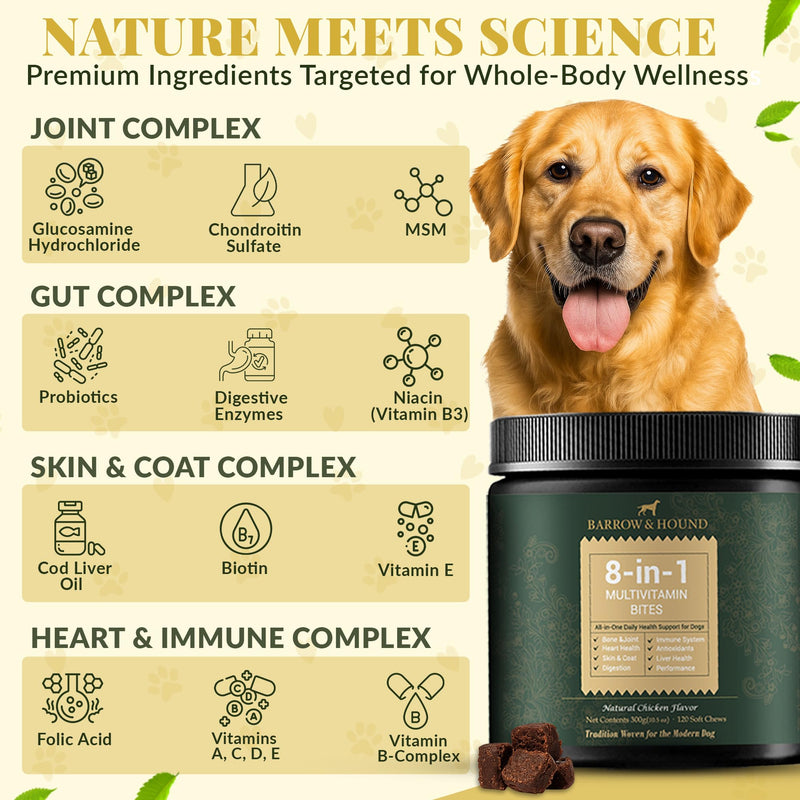 Barrow & Hound - 8-in-1 Multivitamin for Dogs – 120 Soft Chews with Glucosamine, Omega 3, Probiotics, Vitamins A–C–D–E & B-Complex – All-in-One Daily Health Supplement – Natural Chicken Flavor