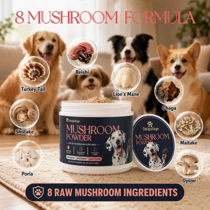 Turkey Tail Mushroom for Dogs,6.35 OZ(180g), 8 Mushrooms Supplement with Naturally Occurring Beta Glucans, Reishi with Immune Support, Gut Health, Brain & Cognitive Support, Easy Mix Chicken Flavor