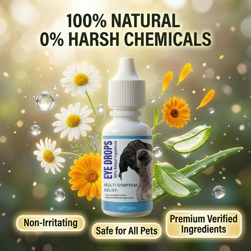 Dog Eye Drops for Infection 2Pack, Gentle Eye Drops for Dogs & Cats, Non-Irritating & Antiseptic Eye Drops to Remover Tear Stain for Pets 10 ml (Pack of 2)