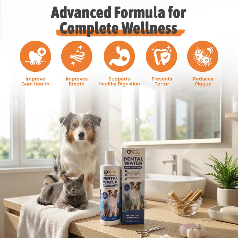 Dental Water for Dogs & Cats – Freshens Breath, Reduces Tartar, Cleans Teeth – Natural Enzyme Formula with Grape Seed Extract, Spirulina, Cinnamon & Sage Advanced Oral Care for Pets, 250ml (8 fl. oz.)