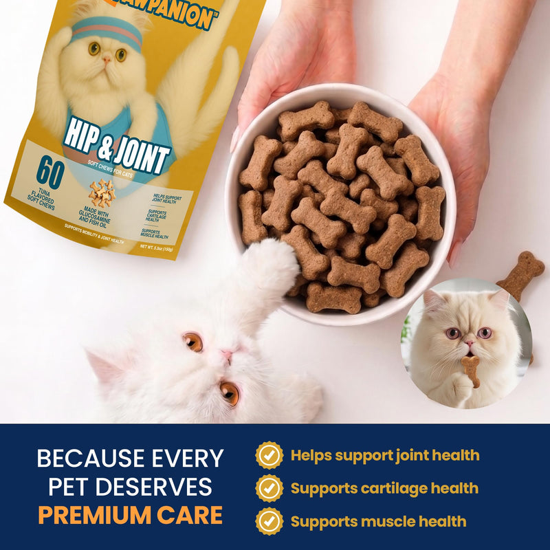 Hip & Joint Soft Chews for Cats, Glucosamine + Chondroitin + MSM, Joint Support & Mobility, Cartilage & Flexibility Support, 60 Soft Chews Tuna Flavor Hip & Joint