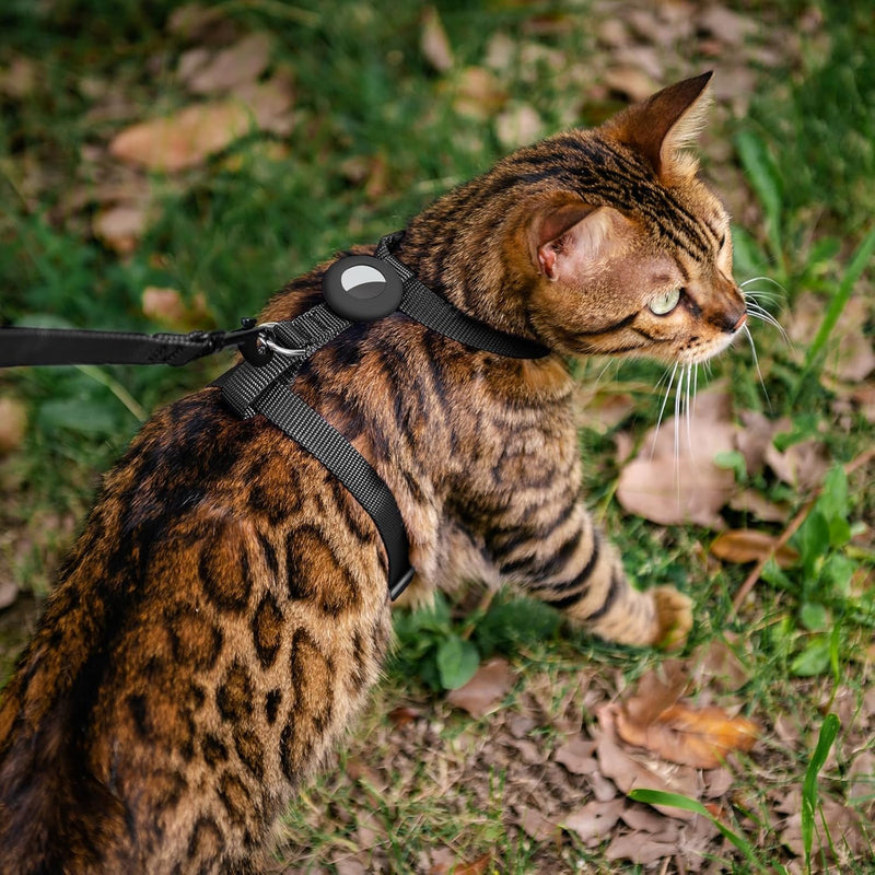 Cat Harness and Leash Set Escape Proof for Walking, Adjustable Cute Kitten Harness Leash with Airtag Holder for Small Large Cats, Lightweight Soft Walking Travel Harness (Black) Black - BeesActive Australia