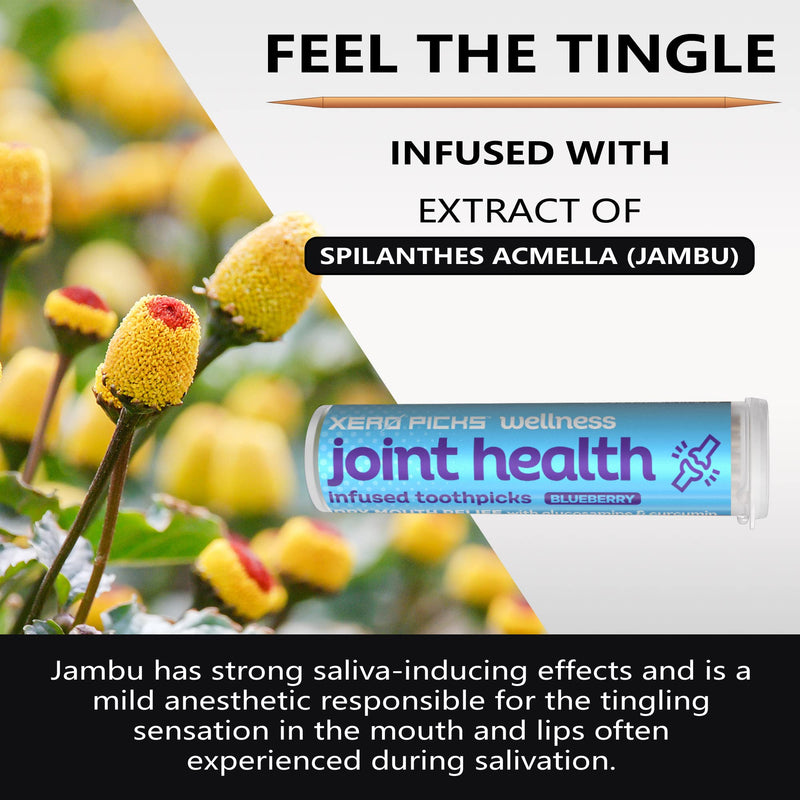 Xero Picks Wellness Flavored Toothpicks Joint Health with Curcumin & Glucosamine (Blueberry, 3 Pack) Kosher - Sugar Free BLUEBERRY