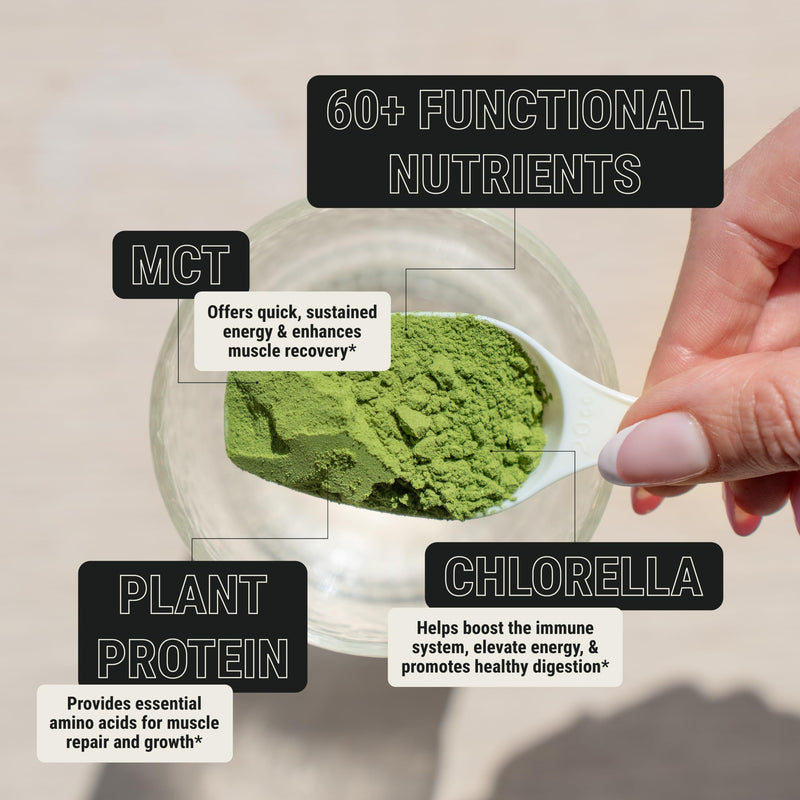 ON3 Athletic Daily Greens & Superfood Blend with Chlorella, 5 Servings | Daily Drink for Immunity Boost | Plant-Based, 60+ Nutrients, Vitamins, Probiotics Herbal 3 Ounce (Pack of 1)