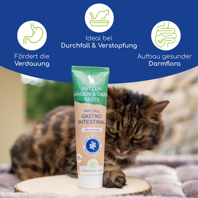 Natural gastrointestinal paste for cats - cat snack with probiotics and elm bark - supports digestion and intestinal flora, gastro intestinal paste - BeesActive Australia
