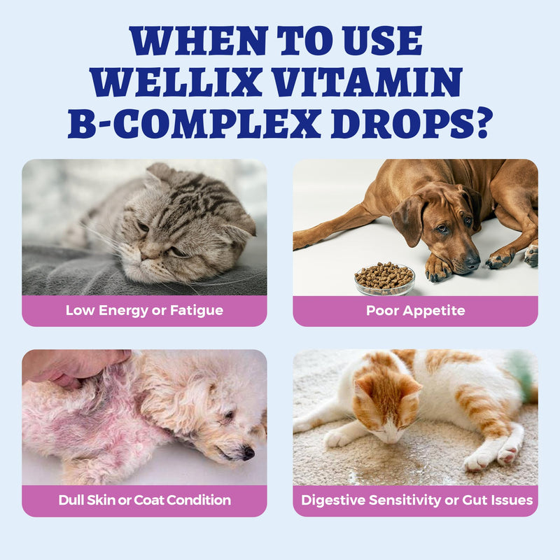Wellix 4.06 fl oz Vitamin B Complex Drops with Taurine for Dogs and Cats | Vitamin B Complex (B3, B1, B12, B5, B2, etc.) for Dogs and Cats, Appetite Stimulant, Energy Support & Healthy Skin