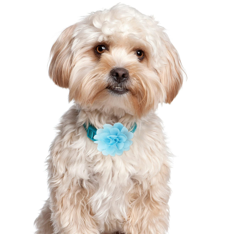 Yxiang 30 Pieces Dog Collar Flowers Bulk Pet Flower Bow Ties Multi-Color Dog Charms Flower for Cat Puppy Dog Collar Grooming Accessories 30 Colors - BeesActive Australia