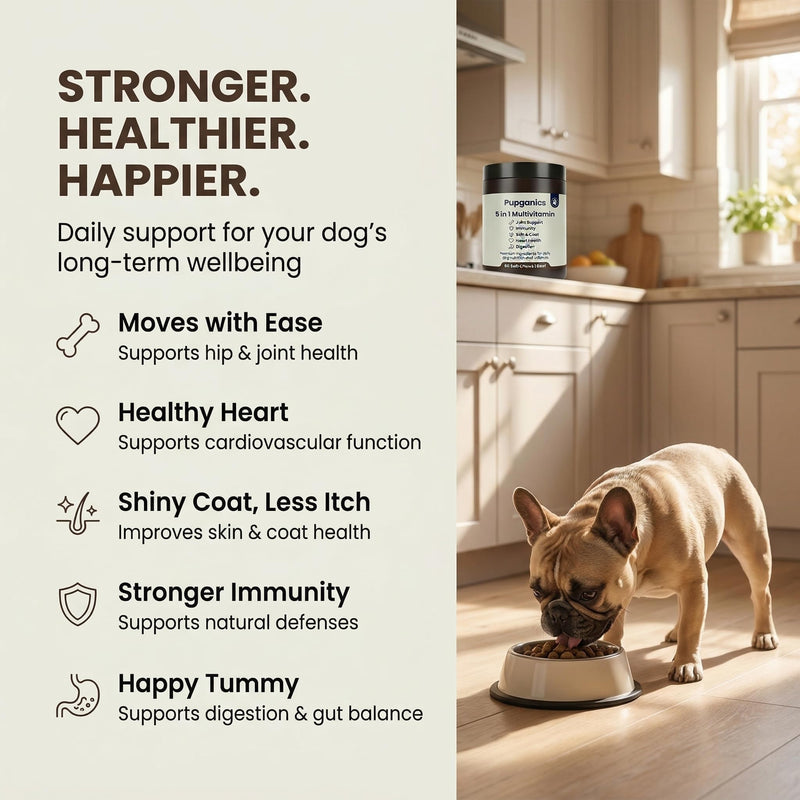 Pupganics Multivitamin Daily Soft Chews for Dogs, 5 in 1 multivitamin for Hip & Joint, Heart Health, Skin & Coat, Digestion & Immune Support, with Probiotics, Glucosamine, Vitamin A/D3/E (Beef) Beef
