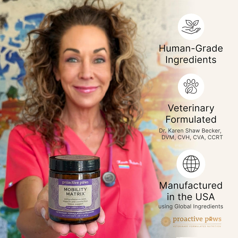 PROACTIVE PAWS Mobility Matrix™ for Dogs and Cats, with Creatine, Glucosamine, MSM, Eggshell Membrane Collagen and Hyaluronic Acid, Joint and Muscle Support Supplement