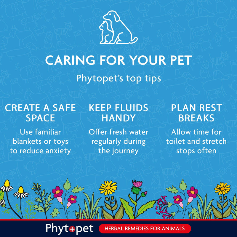 Phytopet Travel, Cat and Dog Anxiety Relief, Easy to Use Herbal Supplements for Dog Travel Sickness and Nerves, 30ml - 100% Herbal Phytopet Pet Supplies
