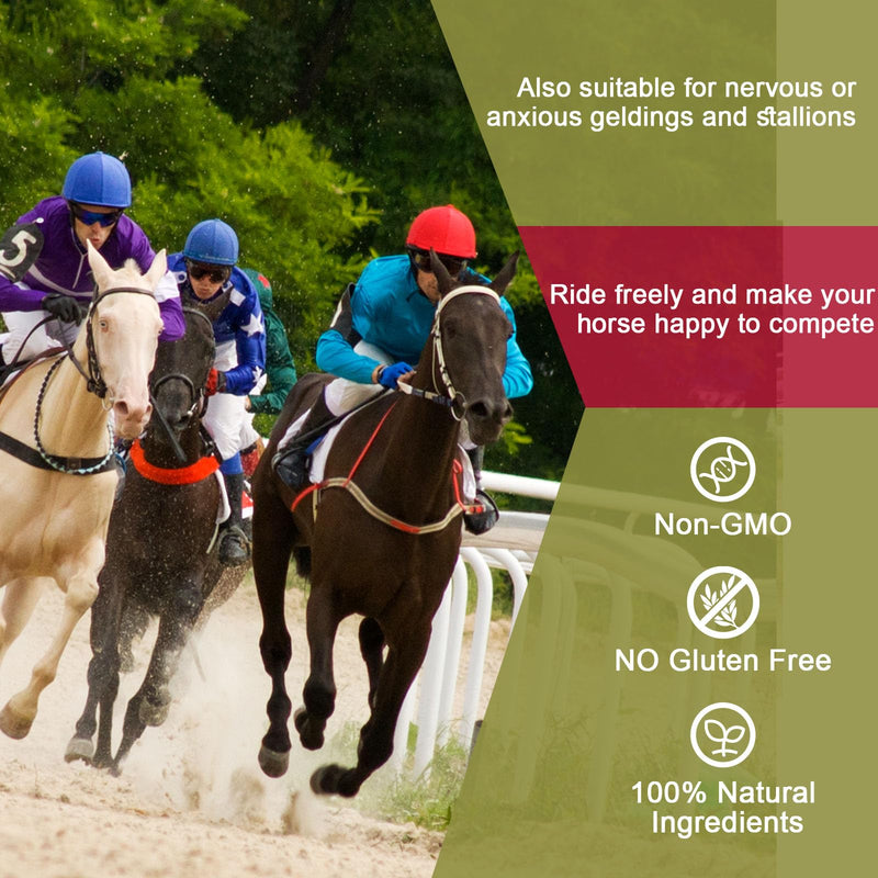 8.8 oz Horse Calming Supplement - Natural Raspberry Leaf Eases Anxiety and Discomfort in Moody Mares, Calms During Heat Cycles - Suitable for Geldings Too 8.8 OZ - BeesActive Australia
