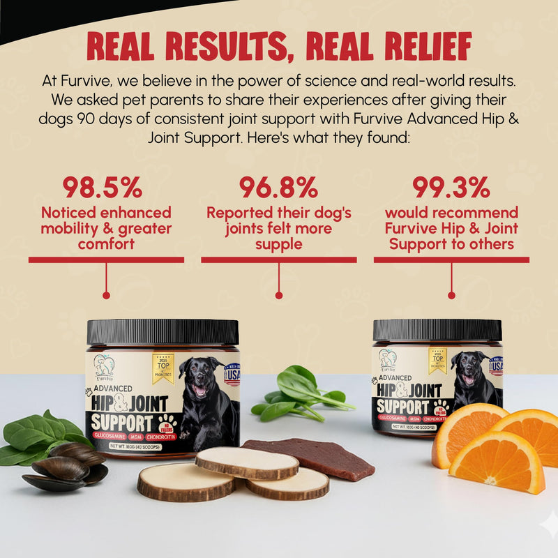 Veterinary Grade Hip and Joint Supplement for Dogs – 40 Scoops Ultimate Strength Dog Supplements for Advanced Mobility, Joint Comfort, Cartilage Health, Flexibility – Liver Flavored