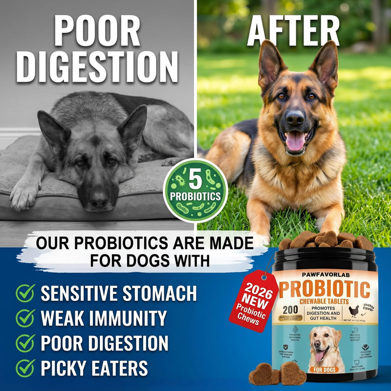 Probiotics for Dogs Digestive Health - 200 Chicken Flavored Chewable Tablets for Gut Health, Immune Support & Pumpkin, Papaya, Flaseed Power - Advanced Dog Probiotic Supplements