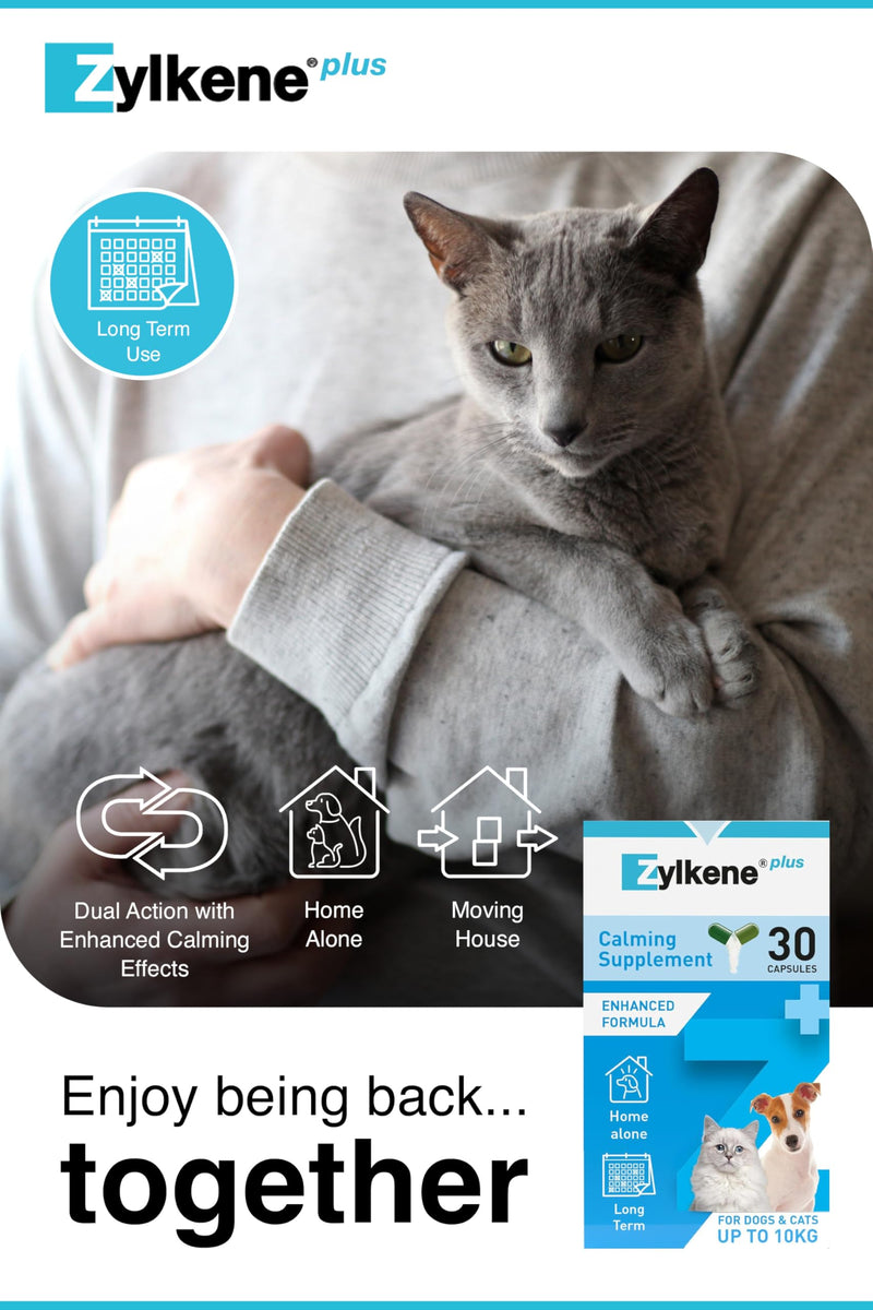Zylkene Plus Calming Supplement for Cats & Dogs up to 10kg | Promotes Relaxation in long-term challenging situations: New baby, Home Alone, Moving house | Easily administered | 30 capsules Cats & Small Dogs