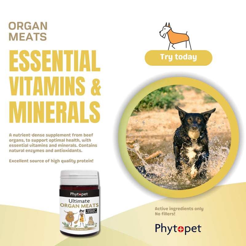 PhytoPet Ultimate Organ Mix | Freeze-Dried Beef Organ Multivitamin | Bioavailable Nutrition Booster for Pets | 90 Capsules | 30-Day Supply