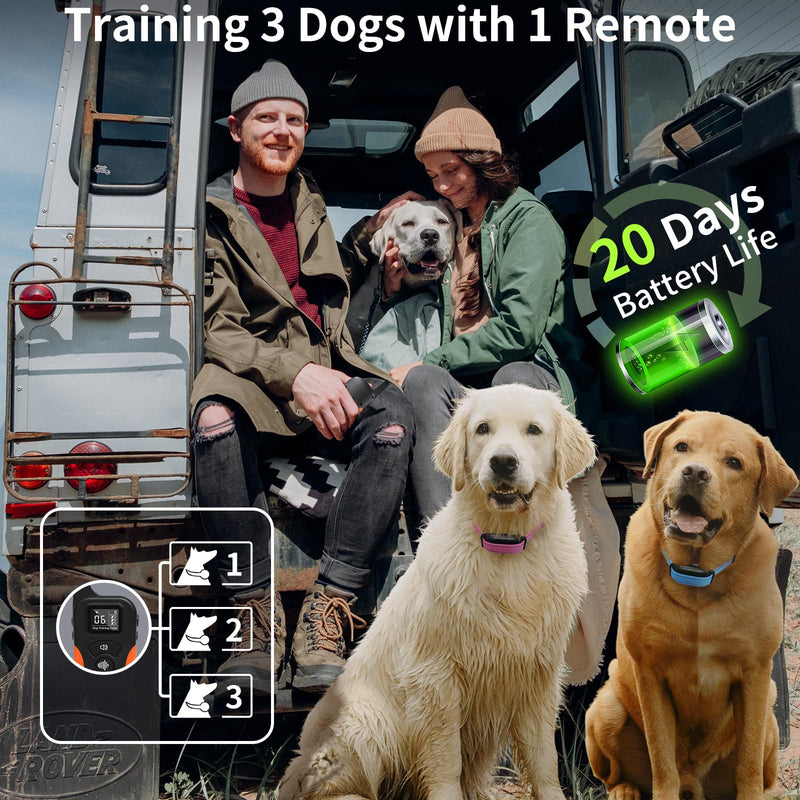 PaiPaitek No Shock Dog Training Collar with Remote 3300ft Range, Strong Vibrating Dog Collar Beep and Vibration Only, Waterproof Vibration Collar for Small Medium Large Dogs (5-120 lbs) - No Prongs Blue - BeesActive Australia