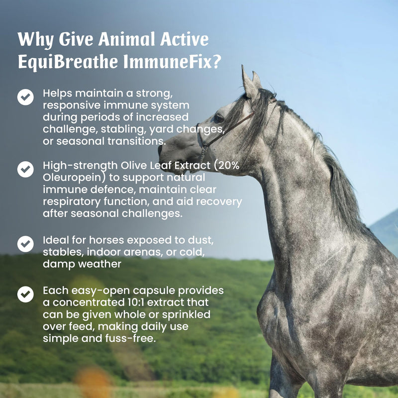 EquiBreathe Immunefix for Horses | 240 Easy-Open Capsules - 4 Months Supply | Immune Health & Respiratory Health Support, Post-Infection Recovery, Antioxidant for Horses | Made in the UK