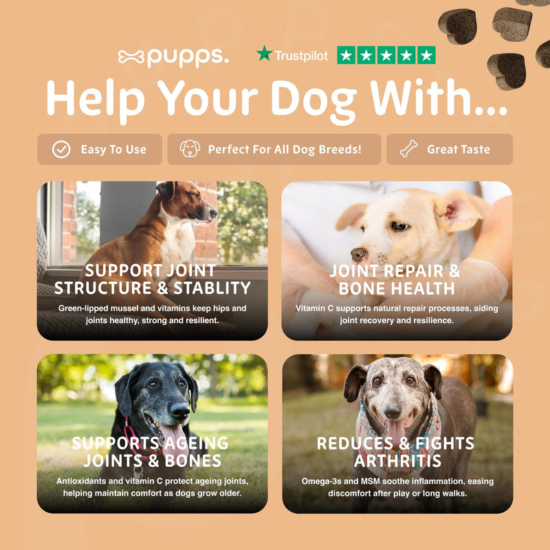 Pupps Hip & Joint Dog Treats – 120 Chews with Glucosamine (1000mg), Green Lipped Mussel & MSM | Joint Support for Dogs of All Ages | Helps Mobility, Stiffness & Comfort | Vet Approved, UK Made 120 x Chews
