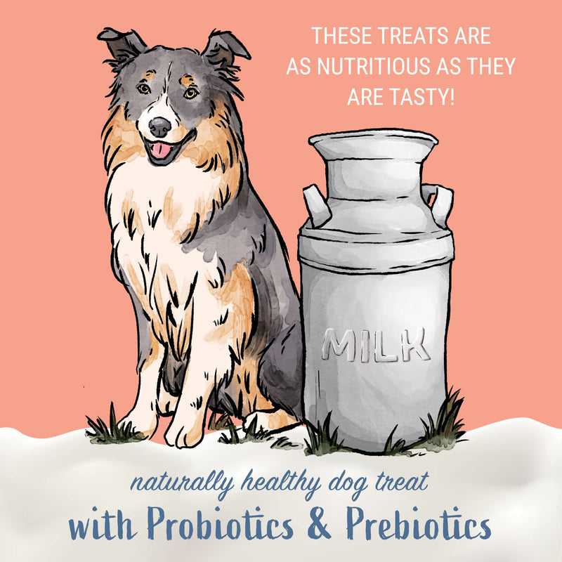 Himalayan Dog Chew Yogurt Sticks, Bacon Flavor, 5 Pieces, Pack of 4 | Prebiotic & Probiotic | Grain-Free | USA Made 4.8 Ounce (Pack of 4)