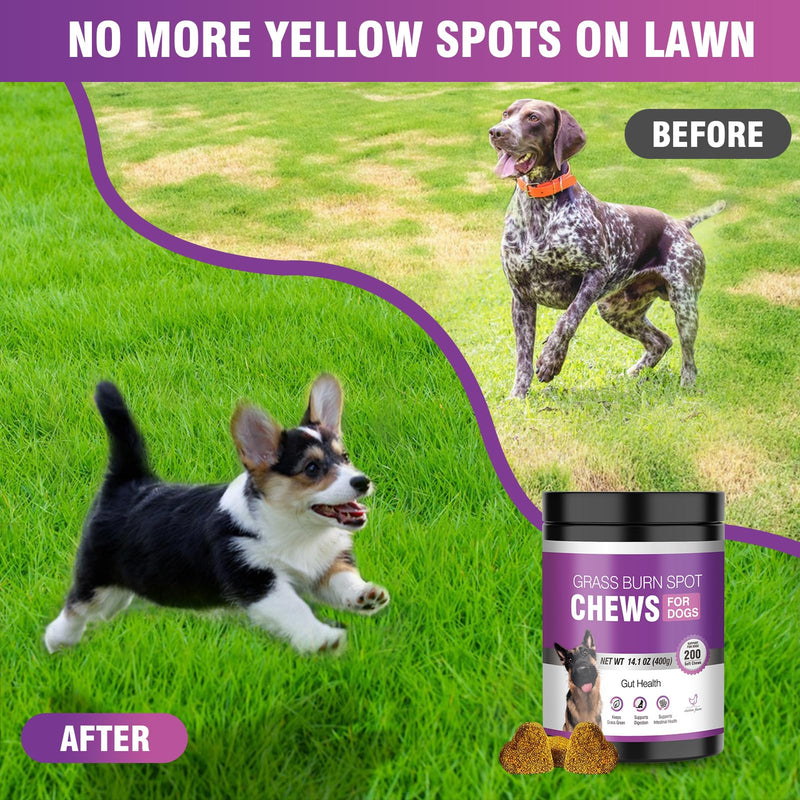 Grass Burn Spot Chews for Dogs Dog Pee Grass Neutralizer 200 Green Grass Dog Chews Urine Lawn Spot Protector Urinary Tract Support Dog Bladder Support Cranberry, Apple Cider Vinegar, DL-Methionine