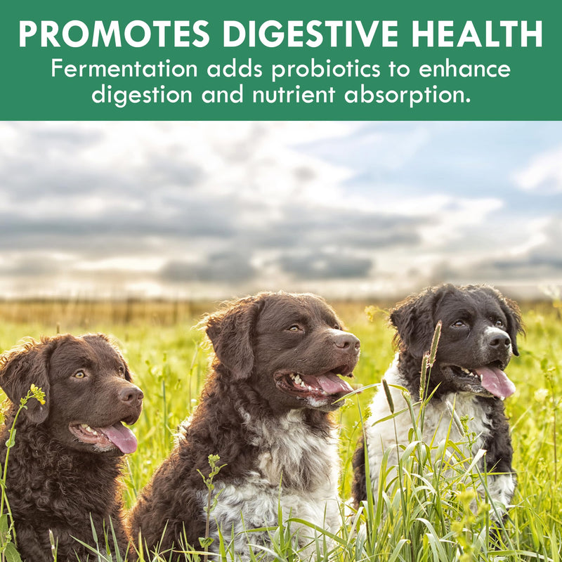Canine Fermented Farm Supplement by Holistic Bin - Multivitamin Powder with Digestive Enzymes, Fermented Spinach, Pumpkin, Blueberry, Beets, & Turmeric - Dog Vitamins for Overall Health - 50g Powder Fermented Blend - PawsPlanet Australia