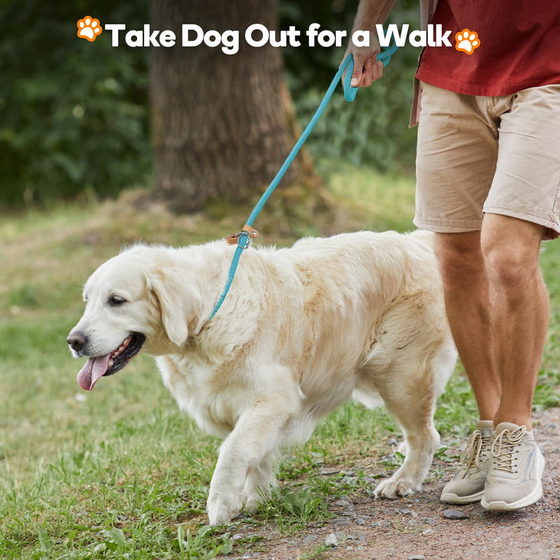 Grand Line Retriever Leash with Pull Stop, 150 cm Moxon Leash Reflective Dog Leash, Safe Durable Training Leash Moxon Leash for Small Medium and Large Dogs - 10mm, Gray-Green 1x150 cm (Pack of 1) - BeesActive Australia