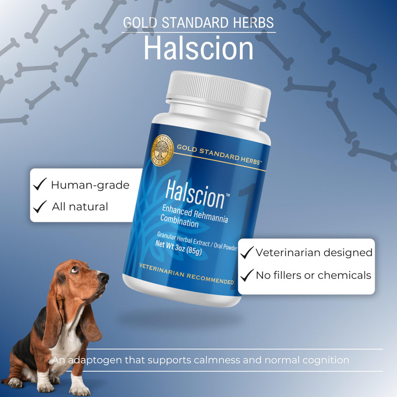 Halscion Cognitive Support and Stress Relief for Dogs by Gold Standard Herbs, All Natural Rehmannia Combination, 85 gram Powder, White Small - PawsPlanet Australia