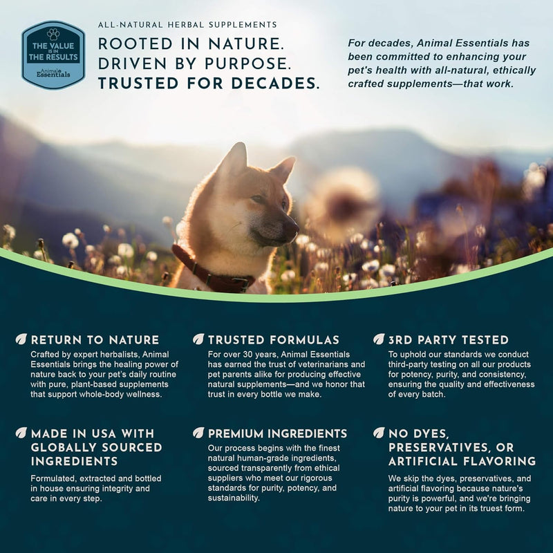 Animal Essentials SeaDent for Dogs - Kelp and Enzymes Plaque, Tartar Control Formula, Alpha Beta Amylase, Cellulase, Marshmallow Root, Slippery Elm Inner Bark, All Natural - 2.5 Oz (Pack of 1) - BeesActive Australia