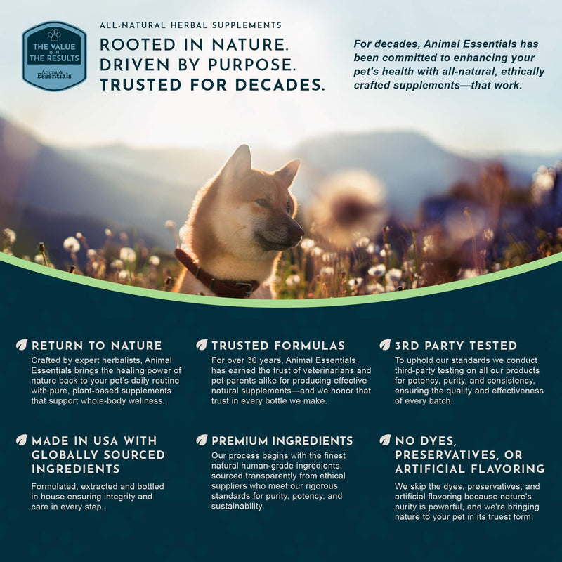 Animal Essentials Tranquility Blend - Valerian Root for Dogs & Cats, Organic Calming Drops for Dogs & Cats, Natural Pet Care Supplement to Relax & Sleep, Herbal Calm Support - 1 Fl Oz 1 fl oz (30 ml)