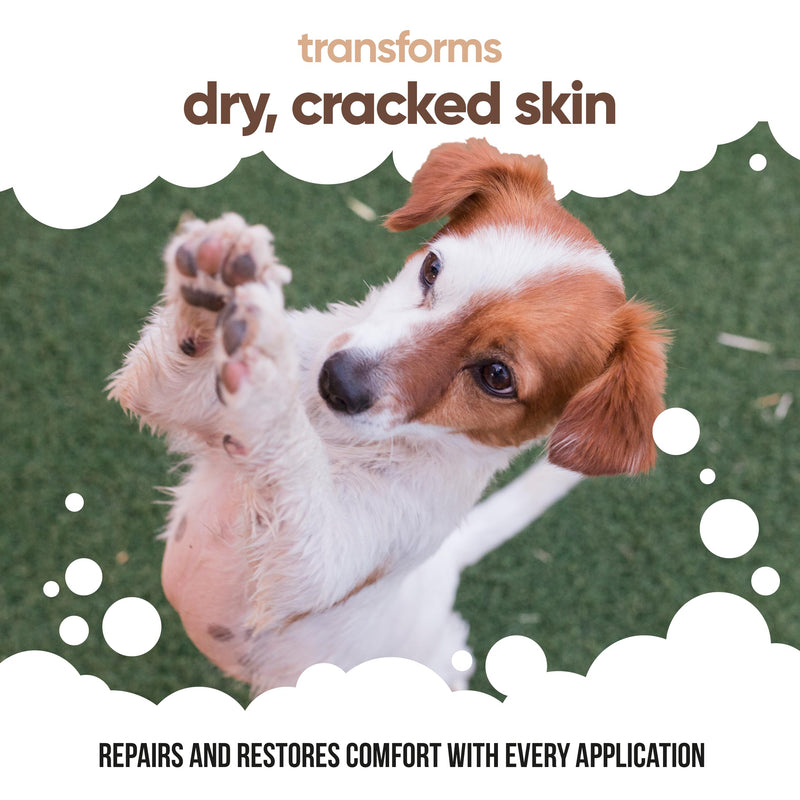 Buddycare Dog Paw & Nose Balm - Vanilla & Shea Butter | Protects & Repairs Dry, Cracked & Chapped Skin | Vegan & Cruelty-Free, Moisturises & Nourishes | Pocket Sized Grooming Accessory