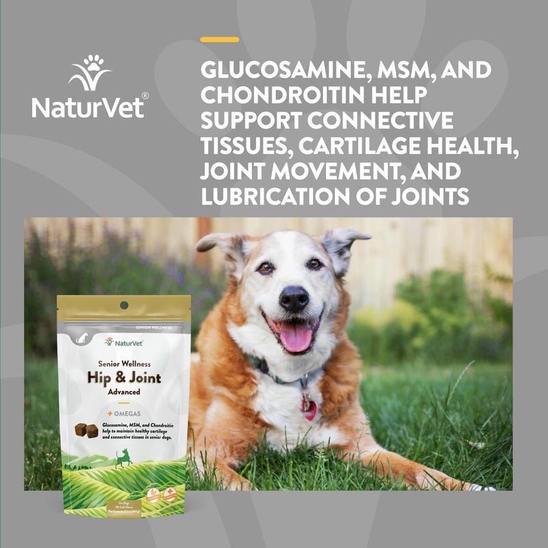 NaturVet – Senior Wellness Hip & Joint Advanced Plus Omegas | Help Support Your Pet’s Healthy Hip & Joint Function | Supports Joints, Cartilage & Connective Tissues | 120 Soft Chews 120 SoftChews - BeesActive Australia