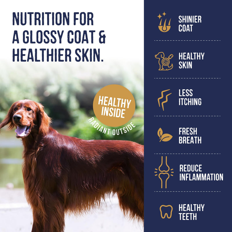 Harley & Marley Skin & Coat Duo Function Health Chews - Natural Dog Skin and Coat Supplement with Salmon, Vitamin E & DHA - Promotes Coat Shine & Supports Teeth & Gums - 4pk (4/pk) Pack of 4
