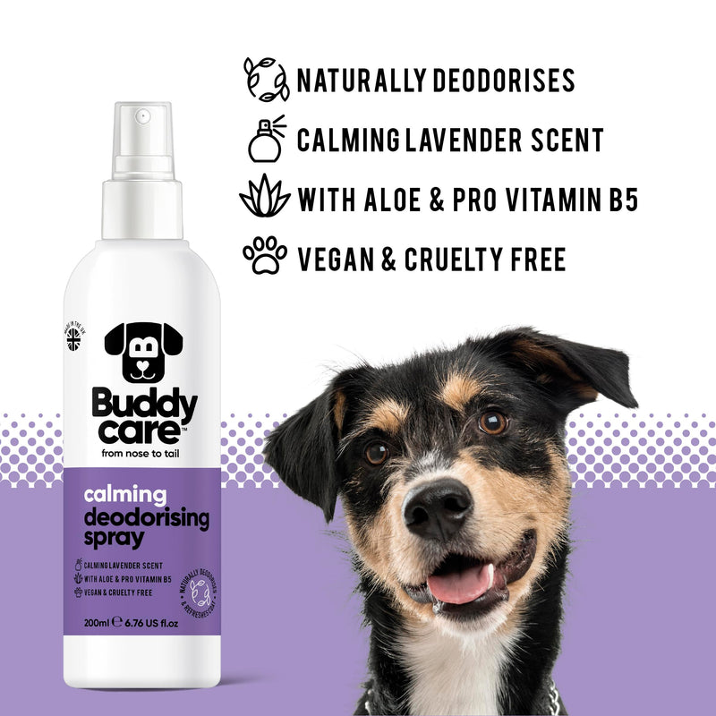 Buddycare Dog Deodorizer Spray - Lavender - Soothing Deodorizer Spray for Dogs - with Aloe Vera and Pro-Vitamin B5 (200ml, 1 Count) - BeesActive Australia