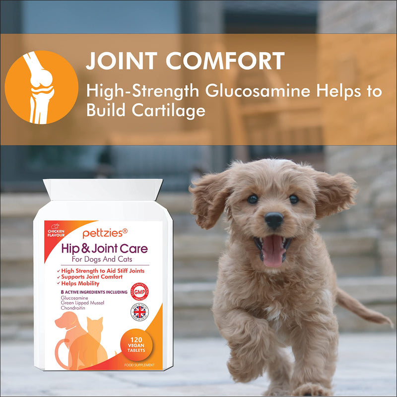 Hip and Joint Supplements for Dogs and Cats Health 120 Tablets - Arthritis Aid, Joint Care, Pain Relief Support for Senior, Young Pets - Glucosamine, Green Lipped Mussel, Chondroitin, Msm Joint Care for Dogs & Cats 120 Tablets