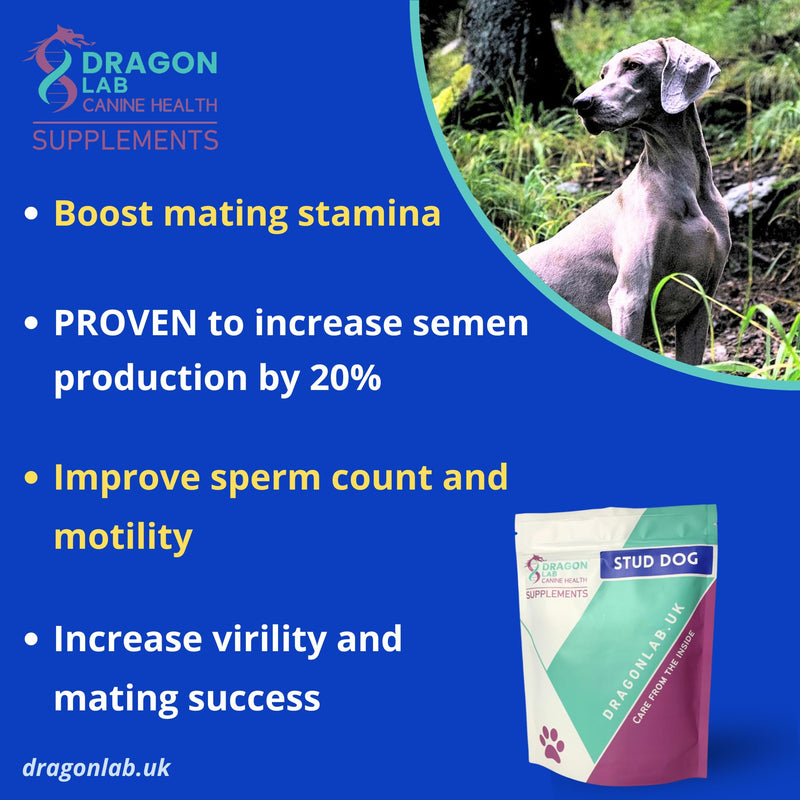 Stud Dog Breeding Supplement | CANINE FERTILITY | INCREASE FERTILITY | IMPROVE MATING SUCCESS | BOOST MATING STAMINA