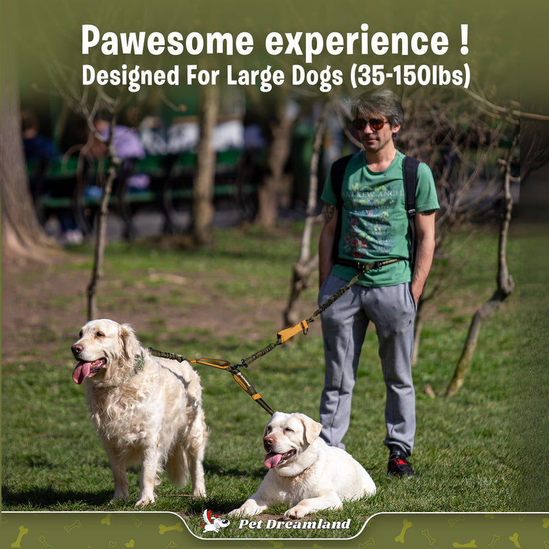 Pet Dreamland Exquisite Hands Free Double Dog Leash for Two Dogs with Tangle-Free Swivel. Premium Quality & Versatile for Running. You Will Absolutely Love This Amazing Waist Leash (Khaki & Orange) Khaki & Orange Two Large Dogs (35-150 lbs each)