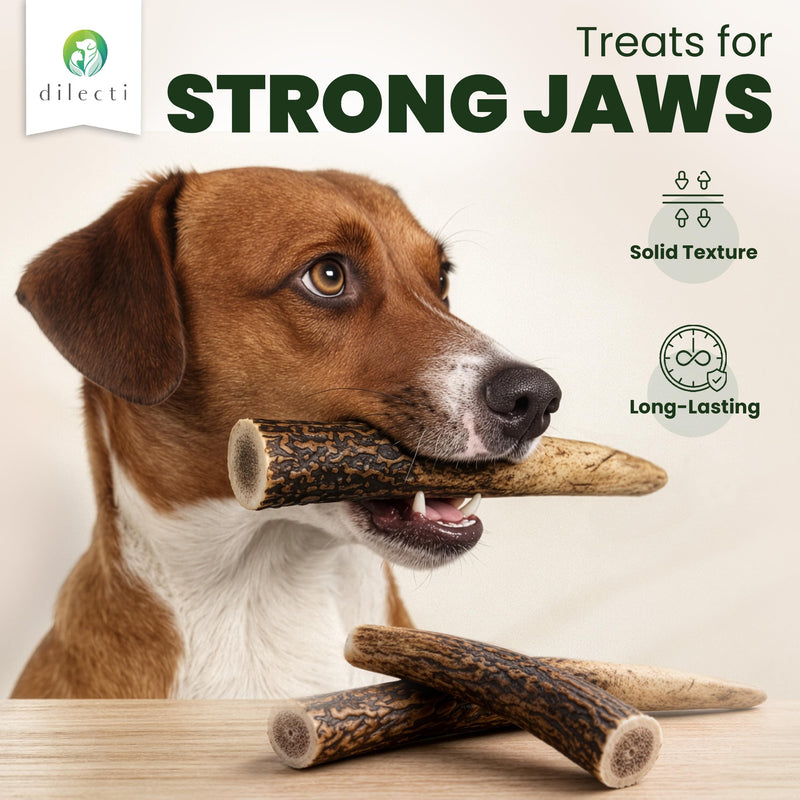 Premium Natural Deer Antlers For Dogs - Rich in Proteins & Minerals - Durable, Long Lasting Dog Chew for Dental Care, Teething, and Boredom - Spilt S (28-50g), pack of 3 S (pack of 3) - Spilt / Half