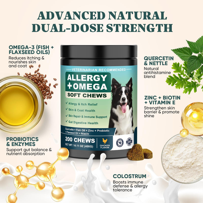 Dog Allergy Chews Omega 3 is Human,Itch Relief Multivitamin Medicine for Dogs Itching Skin Relief and Aller Immune Pet Allergy Dog Anti Itch Chews Coat Licking Supplements Pills Meds Medicine for Dogs Chicken