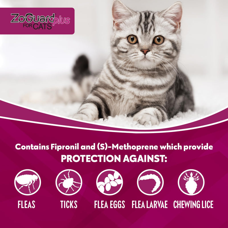 Plus Flea and Tick Prevention for Small Cats – Flea & Tick Prevention for Cats Over 1.5lbs (3 Doses) - BeesActive Australia