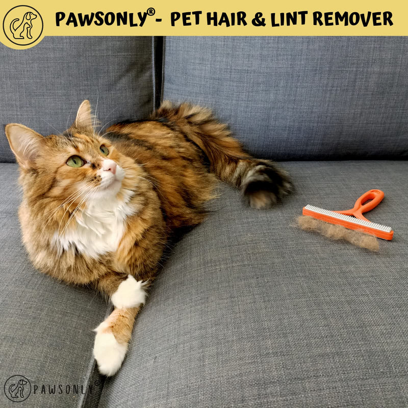 PawsOnly Pet Hair Remover | Cat hair remover | Remove dog hair | Lint Remover for Sofa Car Carpet Scratching Post Clothes | Portable | Lint Brush Animal Hair Pet Hair Remover (Green) Green - BeesActive Australia
