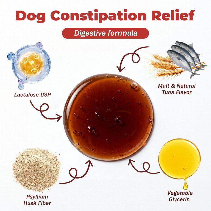 Constipation Relief for Dogs and Cats - Gentle Laxative and Stool Softener with Psyllium - Supports Healthy Bowel Movements, Hairball Relief, and Digestive Comfort - 2 fl oz (60 ml)