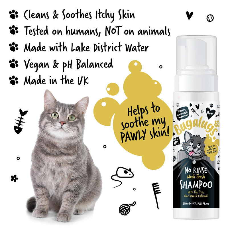 Bugalugs No Rinse Cat Shampoo for itchy skin with Tea Tree & Aloe Vera. Brush through, no rinse shampoo & conditioner for cats and kittens. Foam action grooming dry kitten (No Rinse Shampoo)