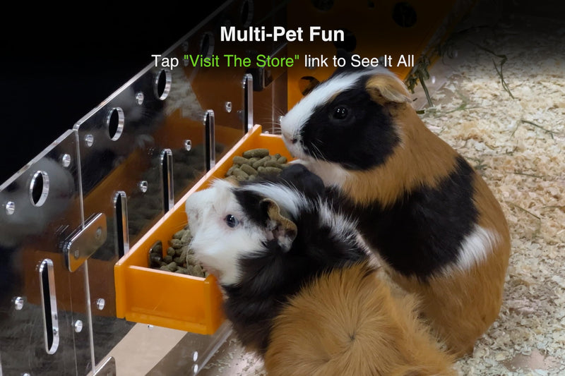 GuineaLoft™ Food Feeder Yellow - Say Goodbye to Traditional Bowls! Ultimate Feeder for Small Pets Like Guinea Pigs, Rabbits and Chinchillas. Designed & Made by Seasoned Owners - GuineaLoft Exclusive - BeesActive Australia
